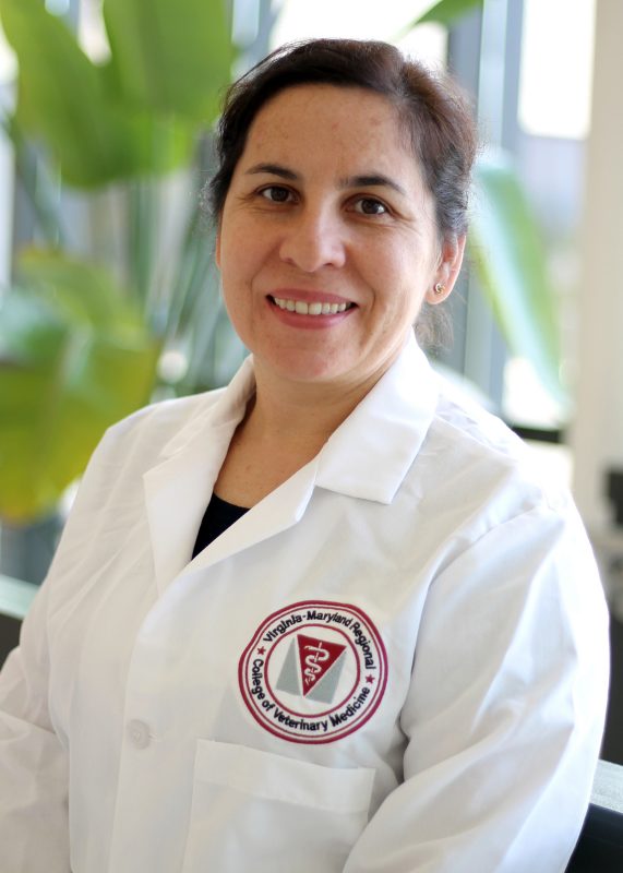 Orsolya Balogh, DVM, PhD, DACT